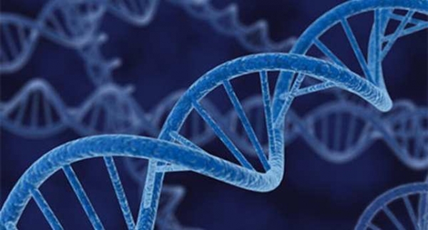 25 интересных фактов о ДНК, которые помогут вам лучше понять себя