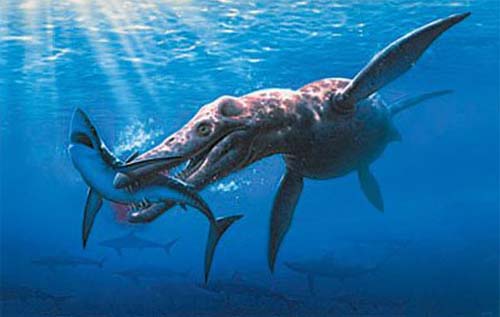 Плиозавр — морское пресмыкающееся