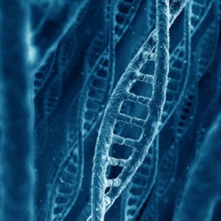 25 интересных фактов о ДНК, которые помогут вам лучше понять себя