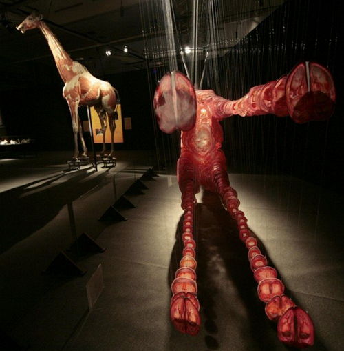 Выставка «Миры тела» – искусство или глумление?
