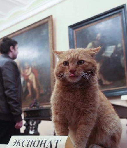 Шутка российского музея закончилась тем, что ему пришлось взять на работу кота
