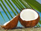 Интересные факты о кокосах