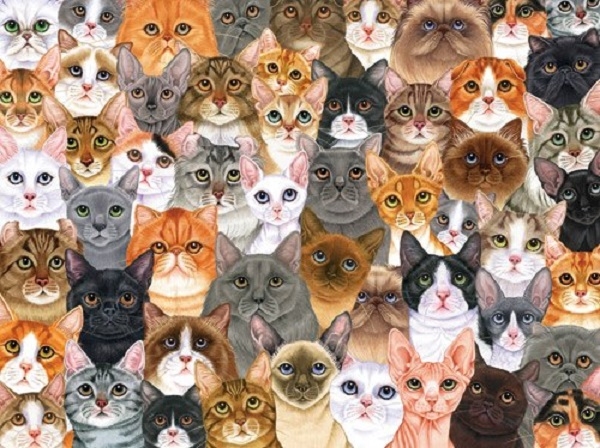 Кошкин дом. 1100 кошек и одна женщина.