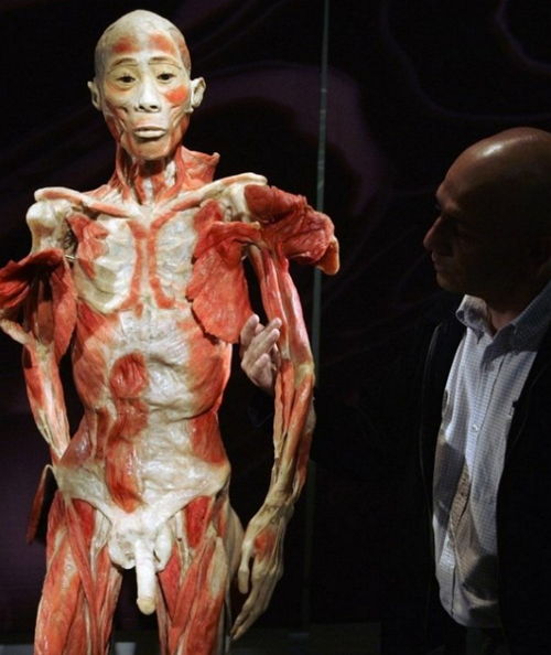 Выставка «Миры тела» – искусство или глумление?
