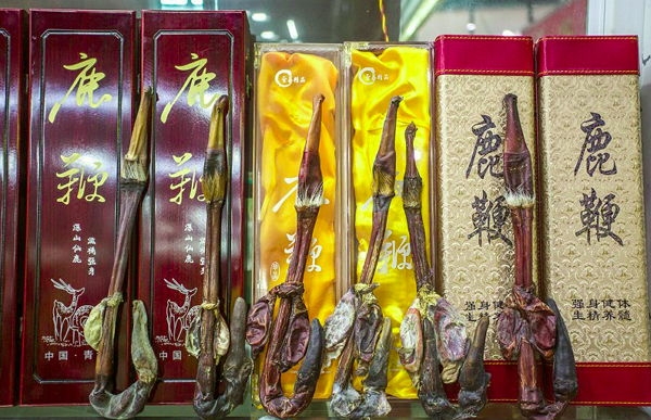 Магазин сушеных пенисов в Китае

