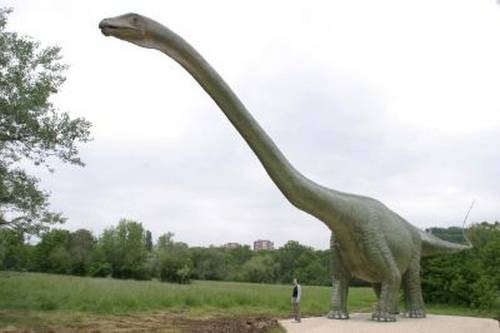 Сейсмозавр — самый крупный динозавр планеты