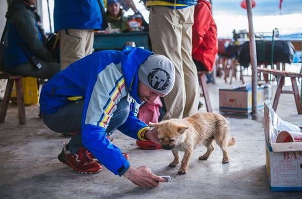 Бездомная собака пробежала за спортсменом 40 км во время марафона и обрела нового хозяина
