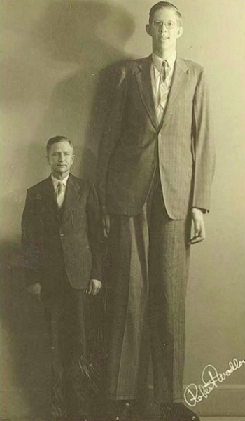 Самый высокий человек в истории. Роберт Уодлоу
