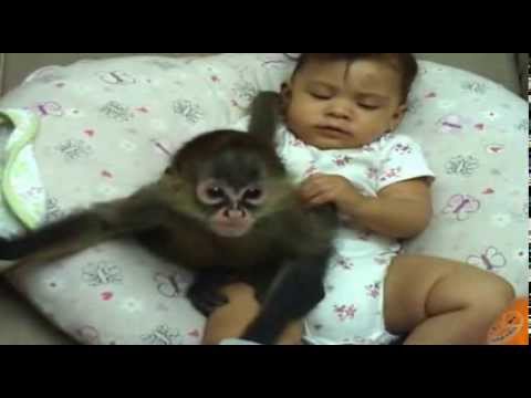 маленькие дети  и такие же маленькие обезьяны