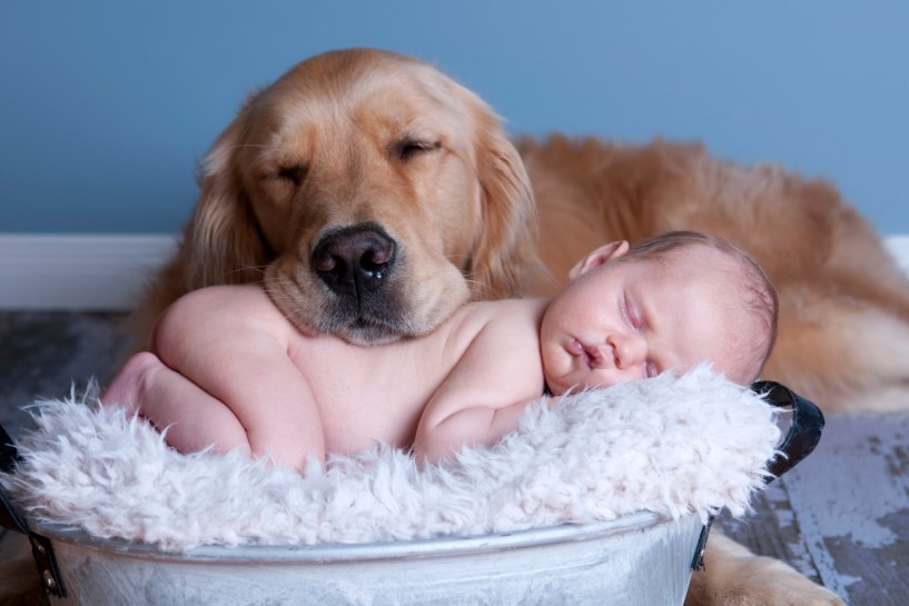 Какая порода собак лучше всего подходит для дома, где есть дети?